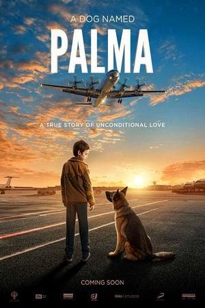 Palma žiūrėti dabar