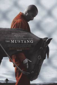 Mustangas žiūrėti dabar