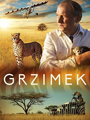 Gžimekas žiūrėti dabar